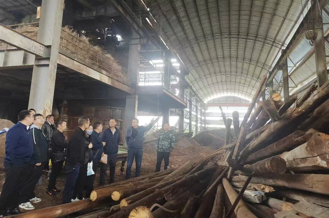 德宏中院执行法官现场处置某冶炼厂资产。