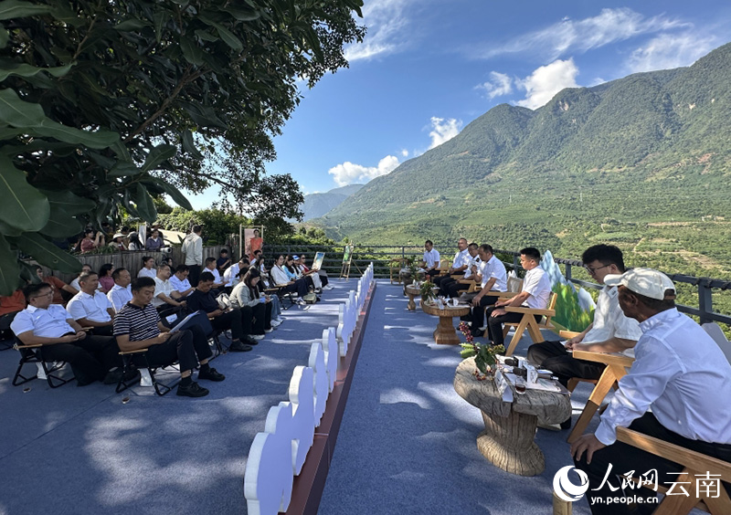 “有一种叫云南的生活·一抹咖香-好在隆阳”新闻发布会现场。人民网-尹馨摄