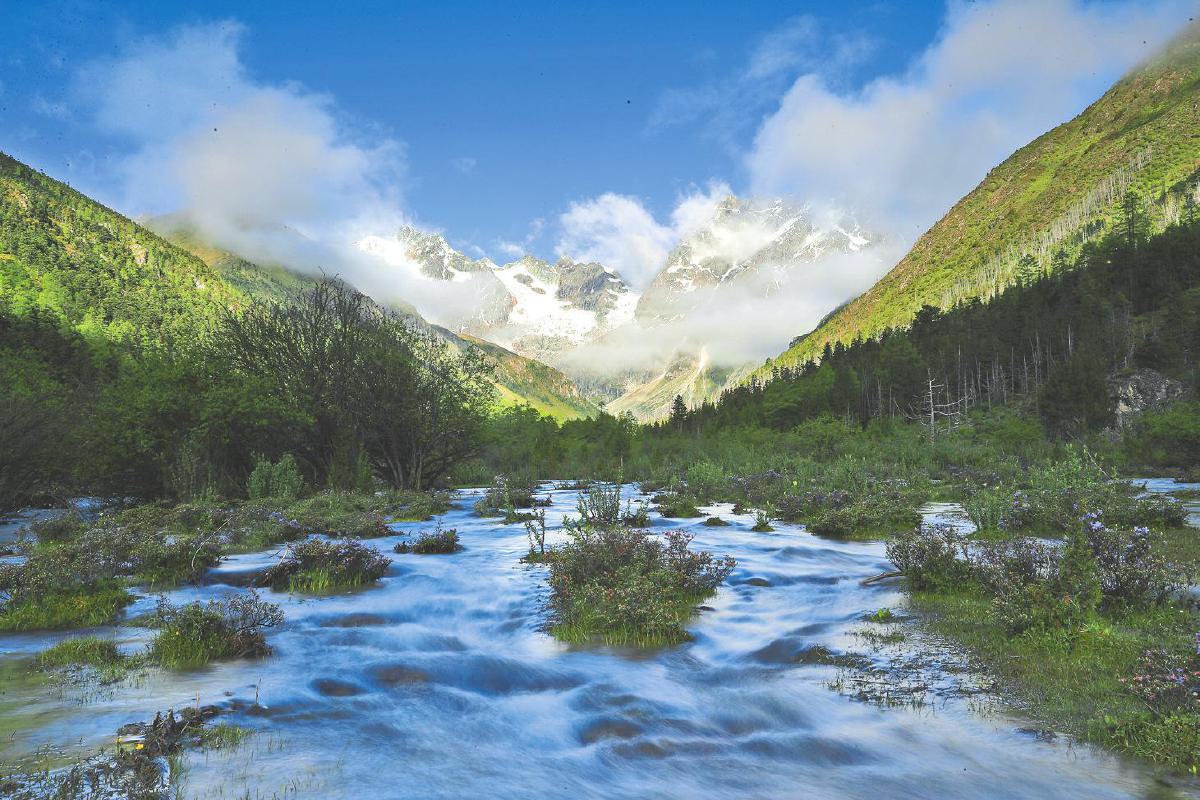 白马雪山自然保护区曲宗贡河谷。陈飞摄