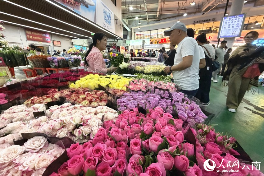 昆明斗南花市。人民網 薛丹攝