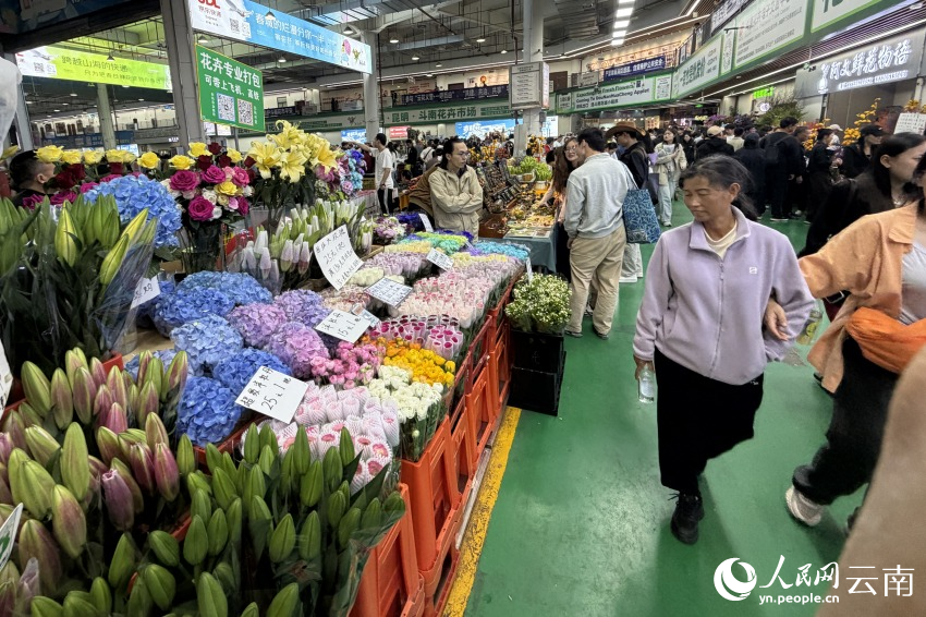 昆明斗南花市。人民網 薛丹攝