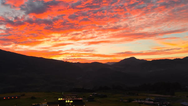 雲南龍陵：萬畝稻浪翻涌