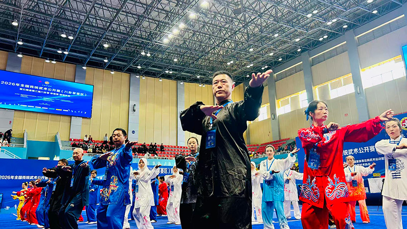 武術展演。