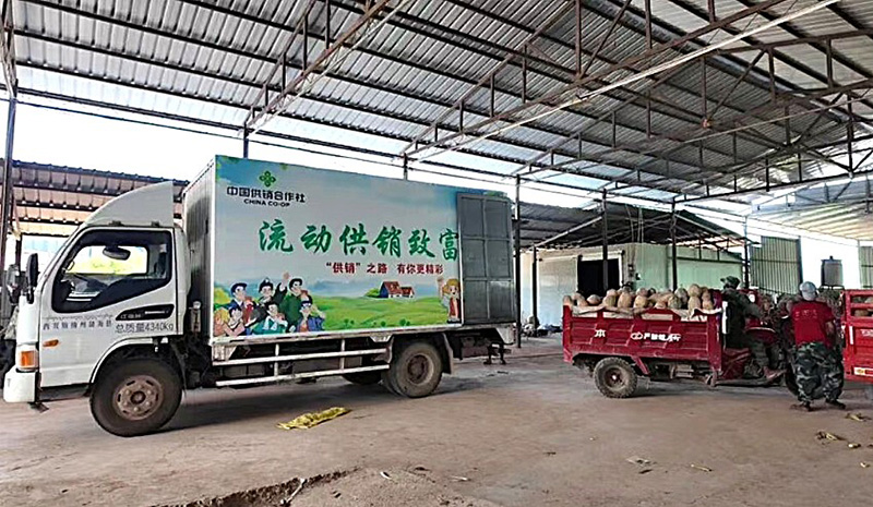 “流动供销致富车”开进村。西双版纳州供销社供图