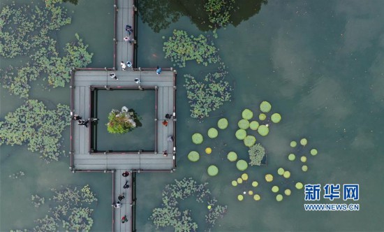 （環境）（3）杭州西湖：秋色淡染