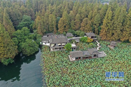 （環境）（1）杭州西湖：秋色淡染