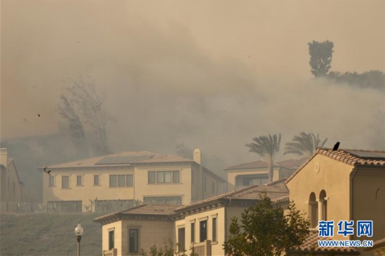 （國際）（6）美國加州南部野火導致數萬居民被迫撤離