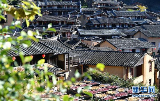 （美麗中國）（5）福建尤溪：詩意桂峰 晒秋人家