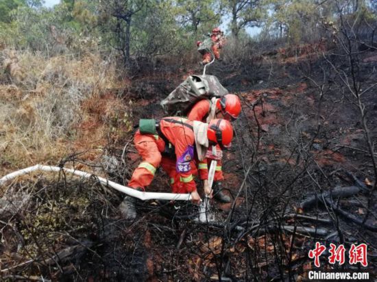 雲南祥雲森林火災明火已扑滅