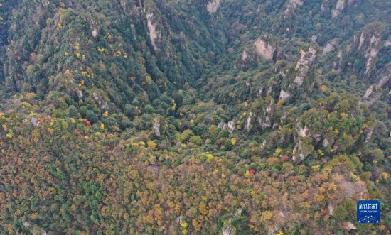 湖南张家界峰林色彩斑斓景色美