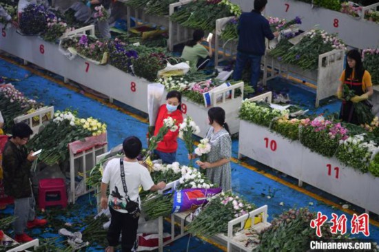 “世界花園”雲南一季度鮮切花產量40億枝花價恢復正常