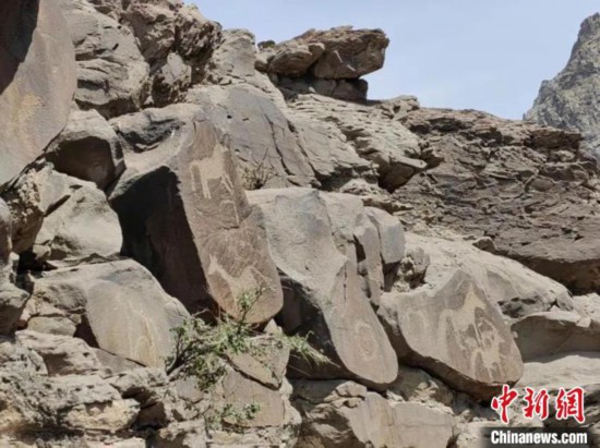 寧夏石嘴山境內發現30余幅以馬和鹿圖案為主的新岩畫