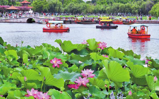 昆明景点排行榜_昆明周边好玩的地方一日游推荐昆明周边好玩的地方(2)