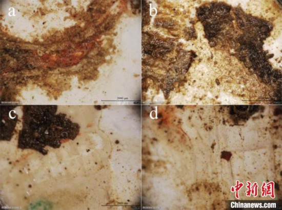 中国学者首次复现两千多年前中山国贝壳画
