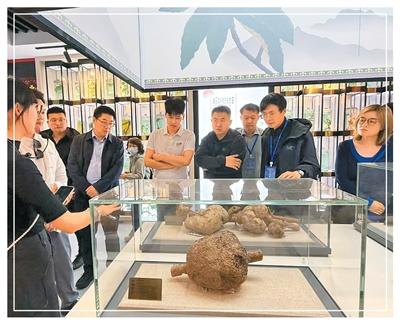 海归学员在中国彝医药博览馆参观。